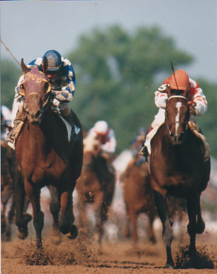 1987 Kentucky Derby - Alysheba. Photo from Thoroughbredmemories.com